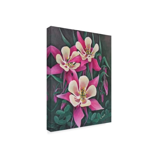 Carol J Rupp 'Pretty In Pink Flowers' Canvas Art,14x19